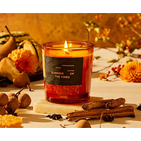 Rewined Candle Harvest Burning of the Vines 283 g